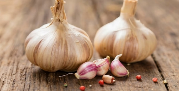 تصویر 1 از خرید و فروش سیر صادراتی دزفول با شرایط فوق العاده